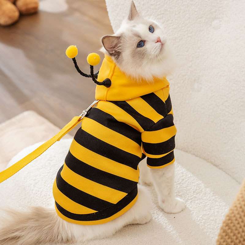 猫服  コスプレ | ミツバチ風猫用コスチューム