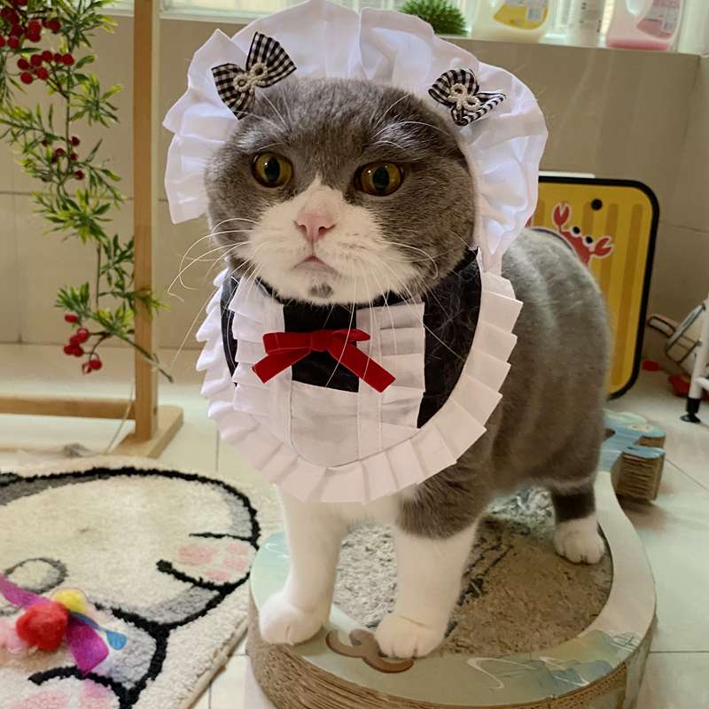 猫服  コスプレ | メイド風フリルエプロン猫用コスチューム