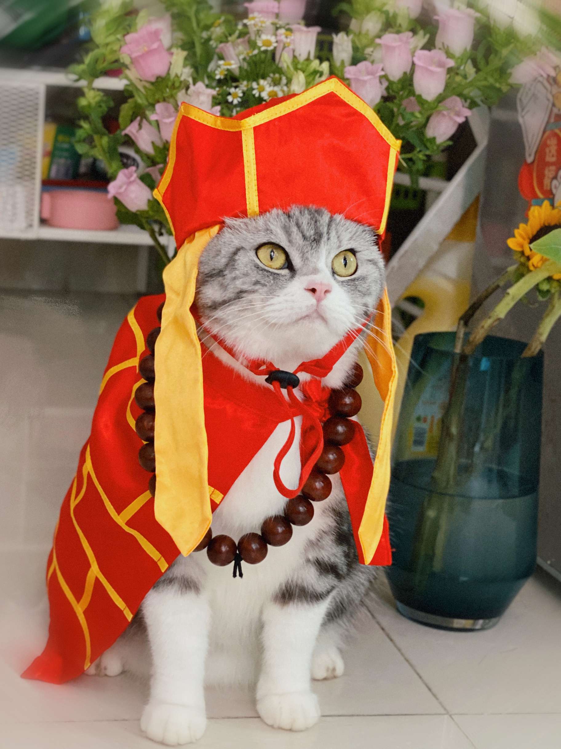 猫服  コスプレ | 福運招く僧侶風ペット着物