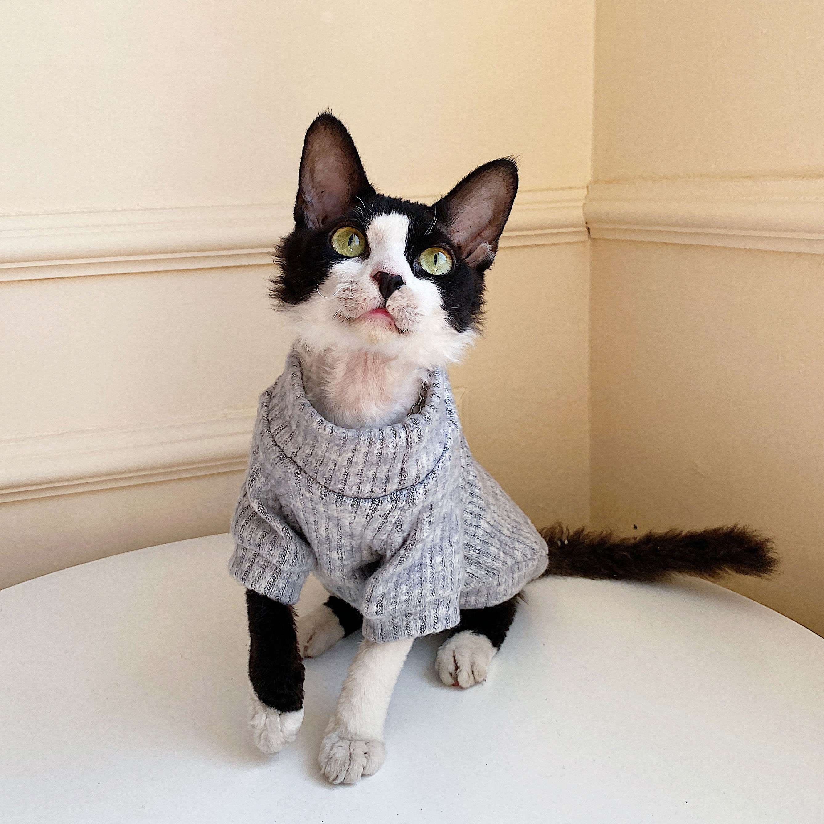 猫服  スフィンクス | スフィンキャットのニットセーター