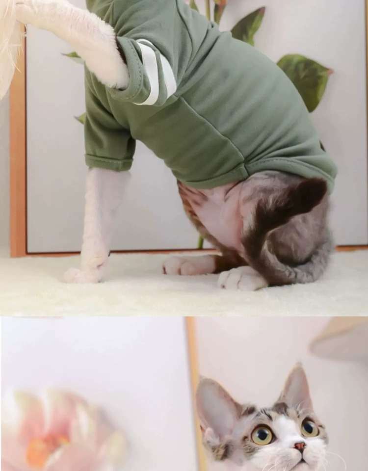 猫服  術後服 | 猫用術後服 コンフォートグリーン