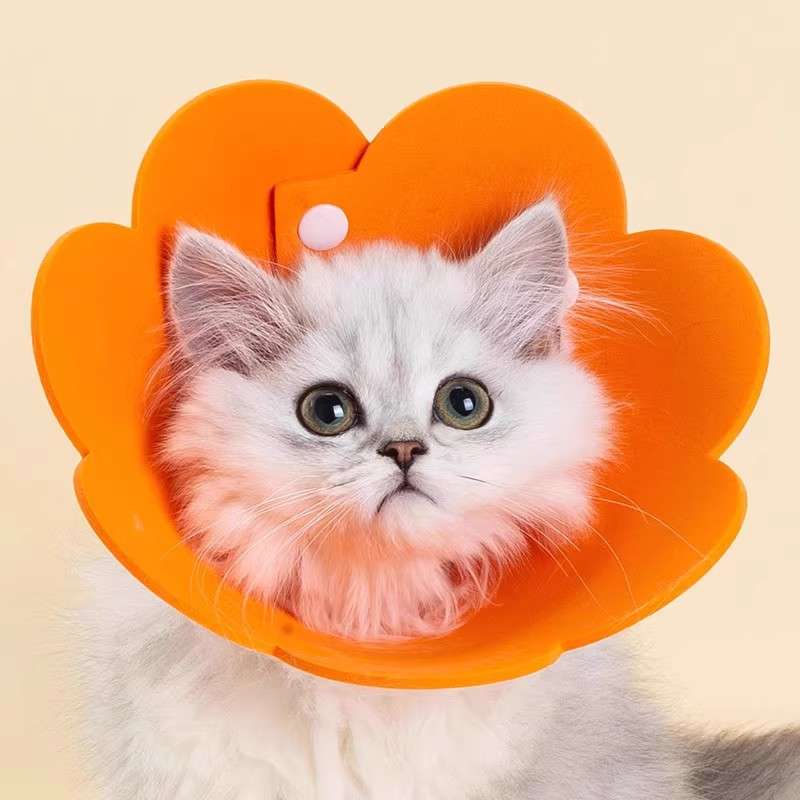 猫服 猫 エリザベスカラー | ふわふわ花びらの首輪