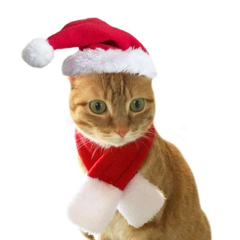 猫服  コスプレ | ねこ用クリスマス変身セット