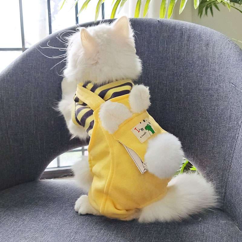 猫服  コスプレ | ミツバチ風ペット用コスチューム
