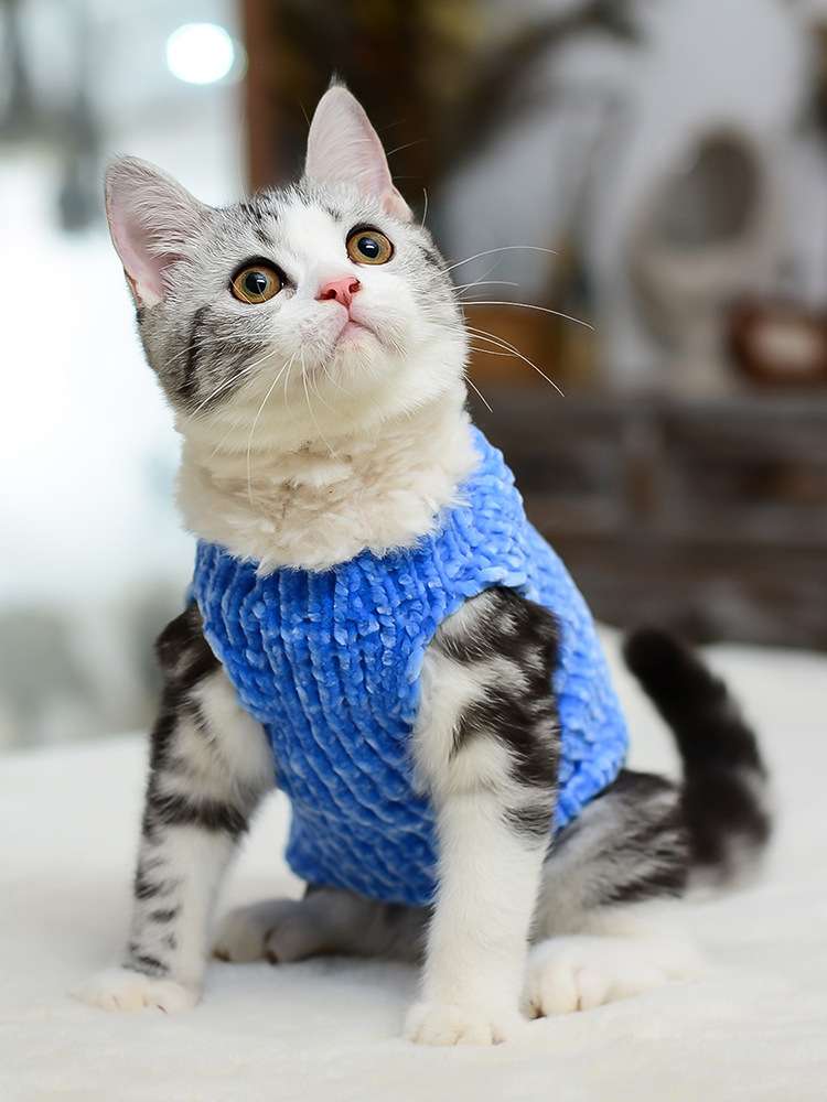 猫服  防寒服 | もこもこ猫ちゃんウォーマー