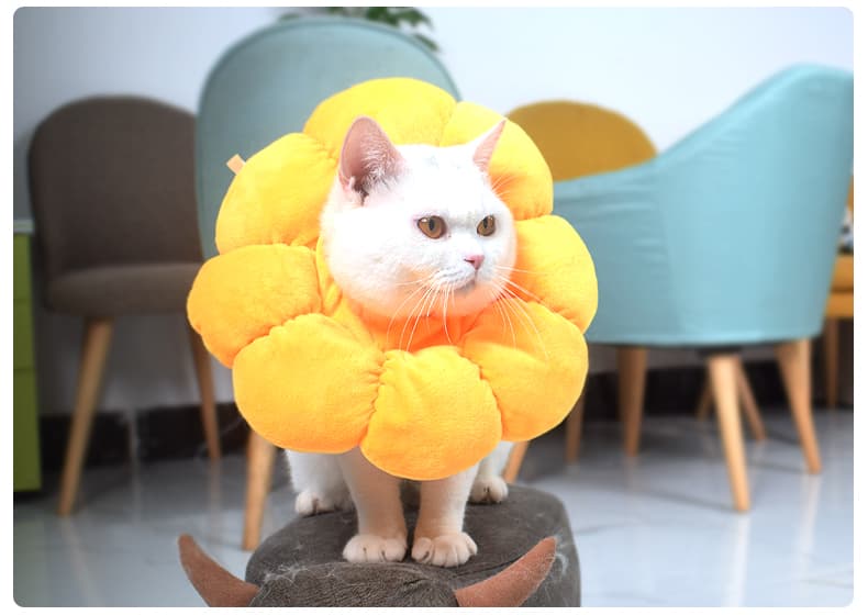 猫服 猫 エリザベスカラー | お花の形の癒やしカラー