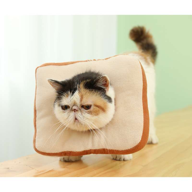 猫服 猫 エリザベスカラー | トースト風ペット用変身帽