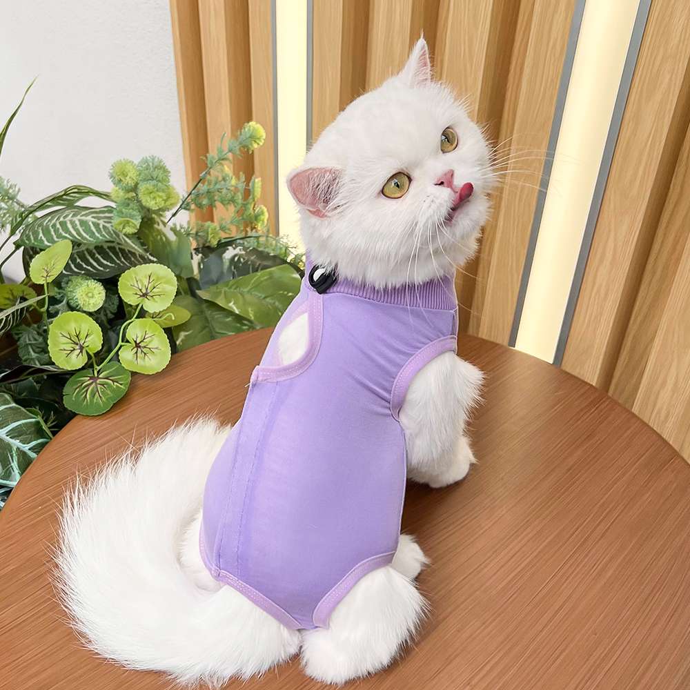 猫服  術後服 | 猫用カラフル術後服 快適ケアウェア