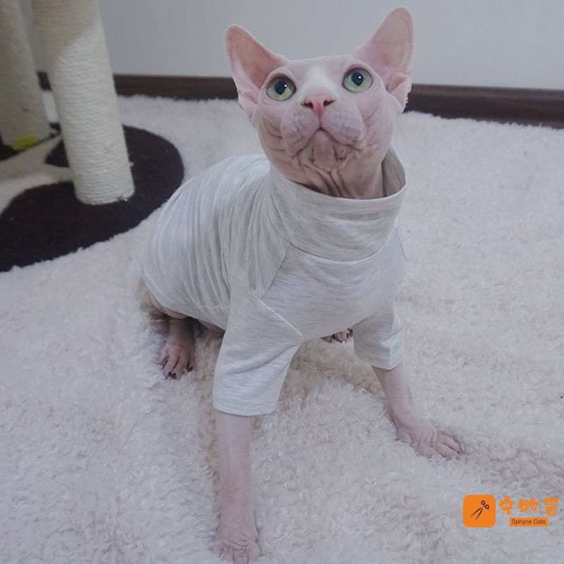 猫服  スフィンクス | スフィンクス用あったかペット服