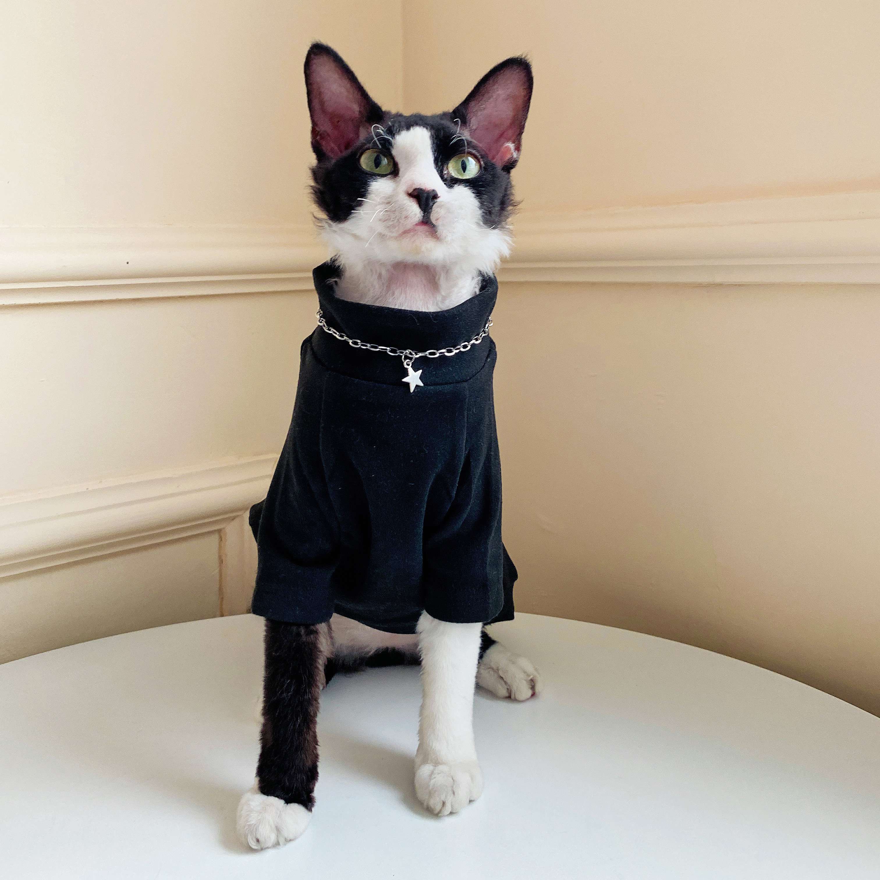 猫服  術後服 | にゃんこの優しい術後ウェア