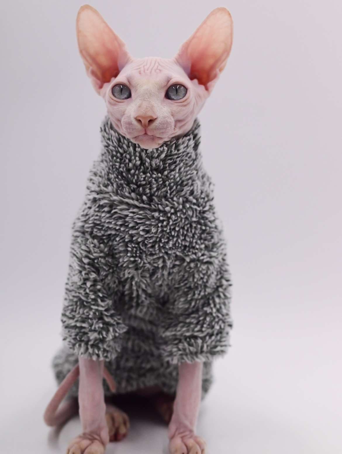 猫服  スフィンクス | ウィンターウォーム スフィンクスキャットウェア