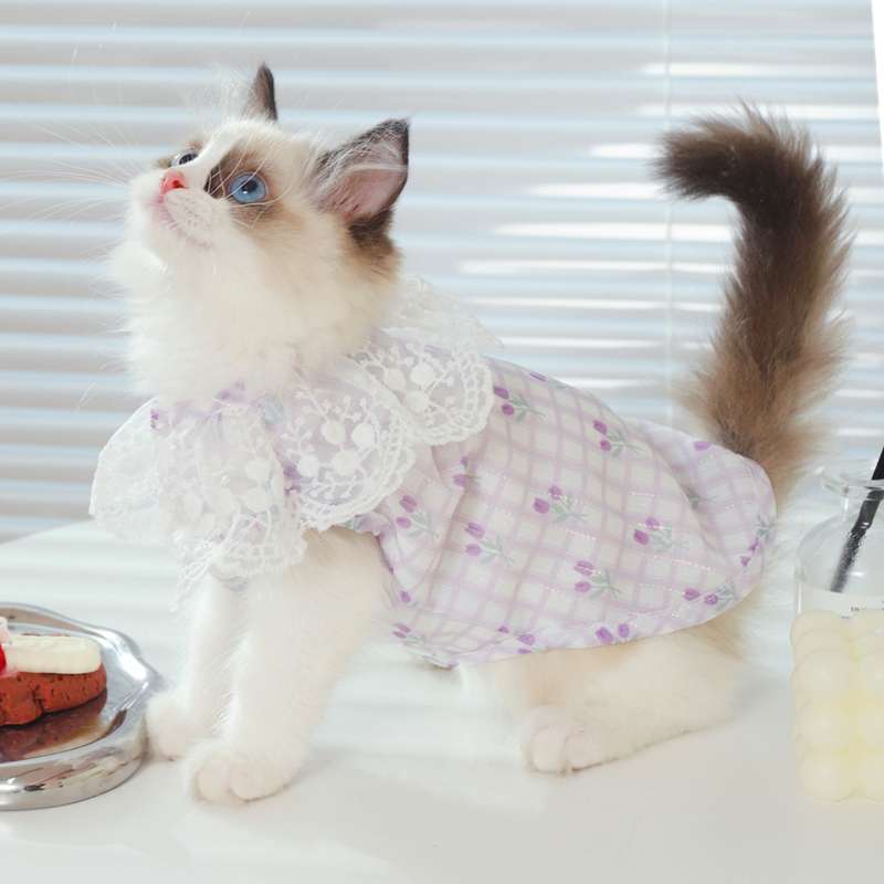 猫服  洋服 | ふんわりレース襟の猫用ワンピース