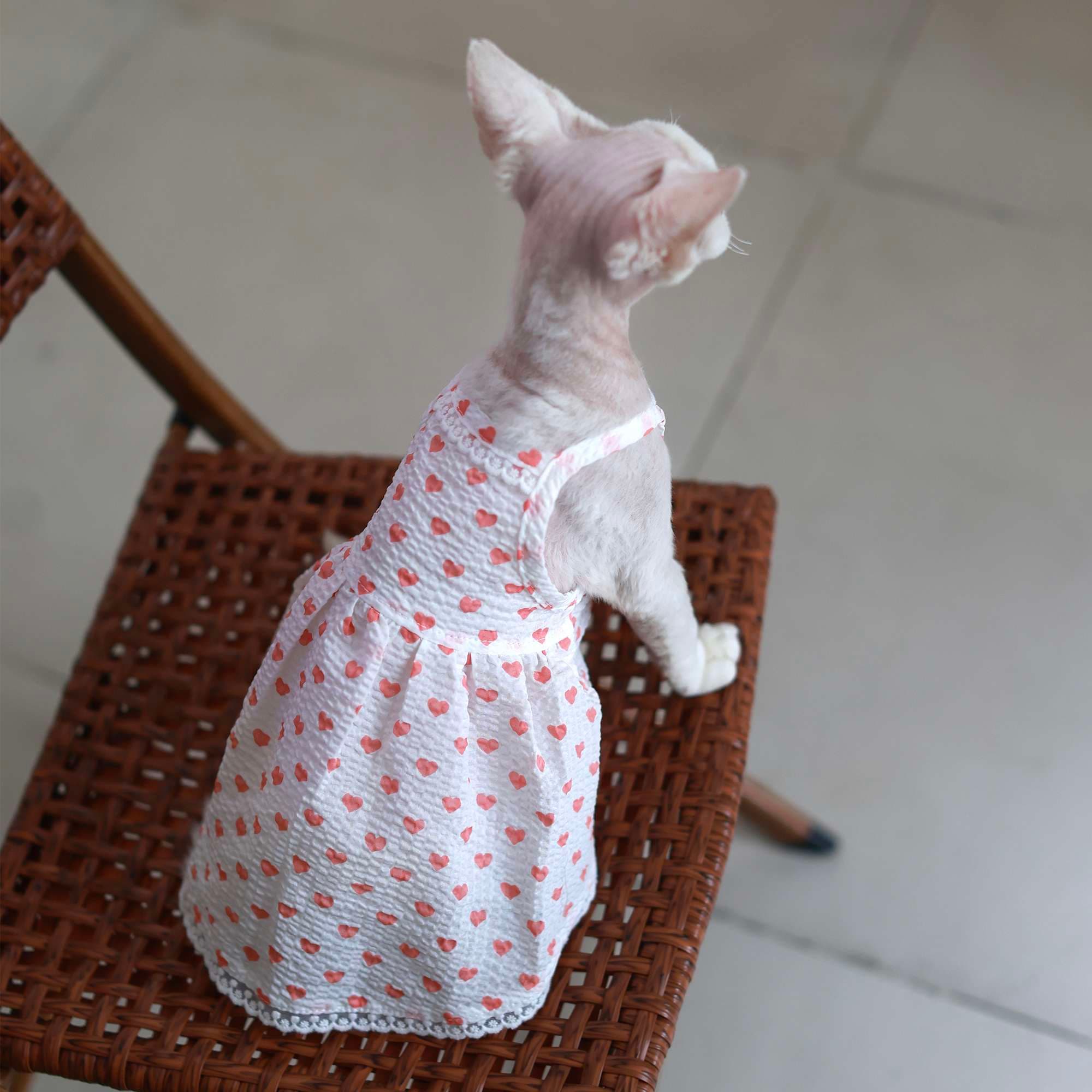 猫服  洋服 | ハートドット柄キャットドレス
