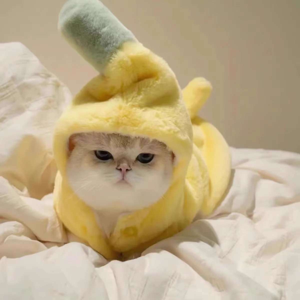 猫服  防寒服 | もこもこバナナ猫着ぐるみ