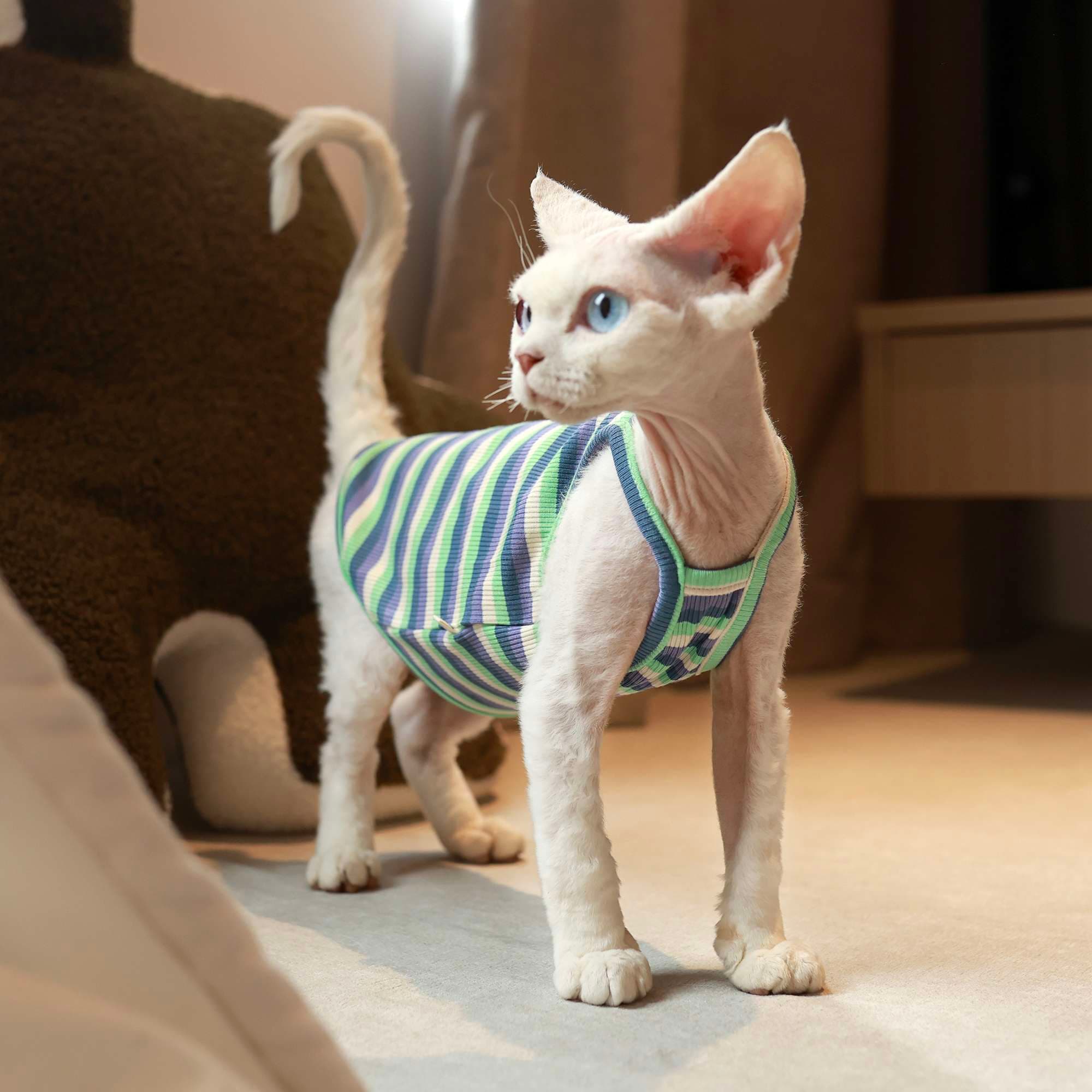猫服  洋服 | ねこちゃん用ボーダー柄タンクトップ