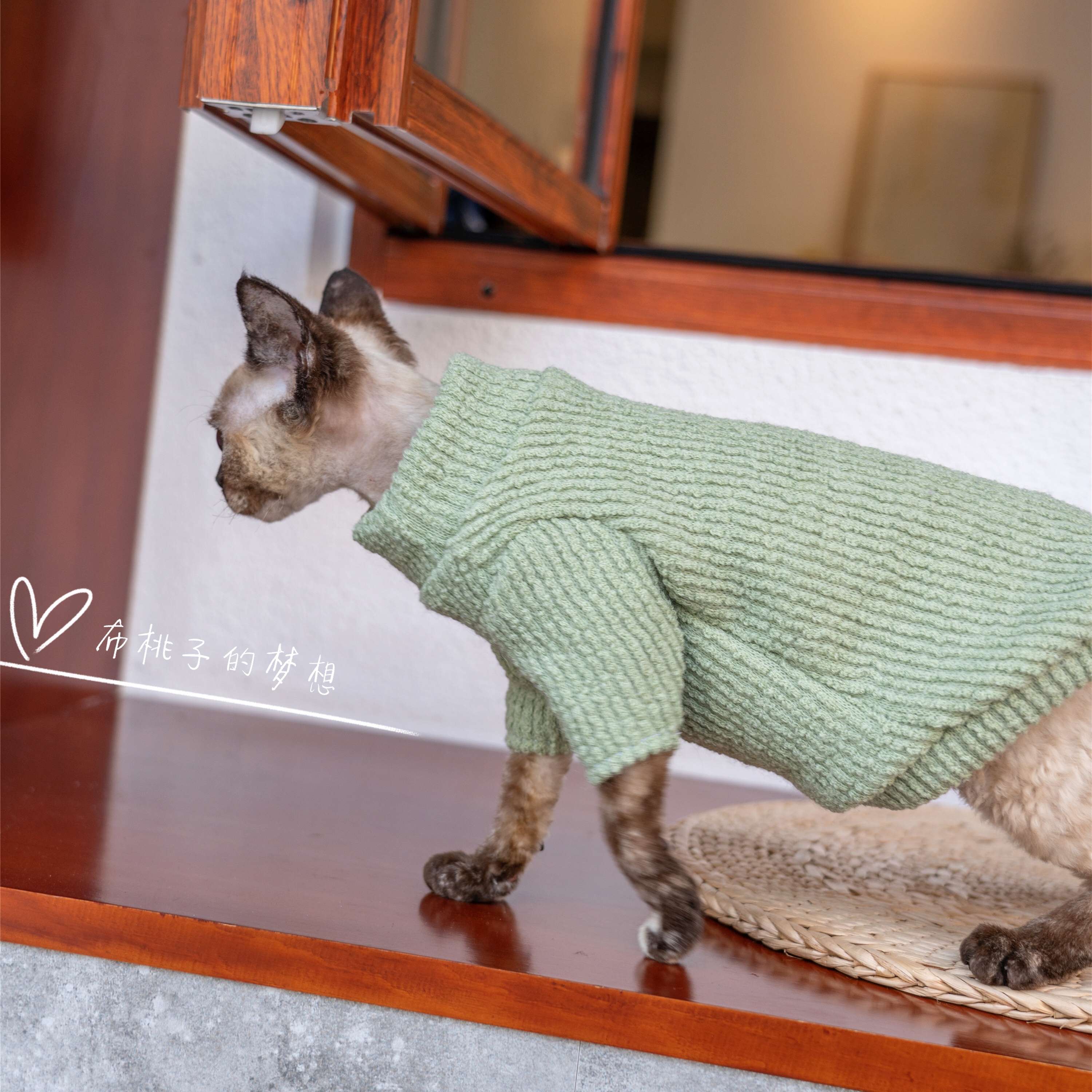 猫服  防寒服 | 猫ちゃんの冬ぬくぬくニットセーター