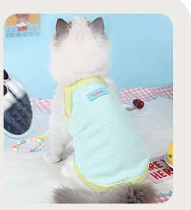 猫服  洋服 | カラフル文字柄メッシュキャットウェア