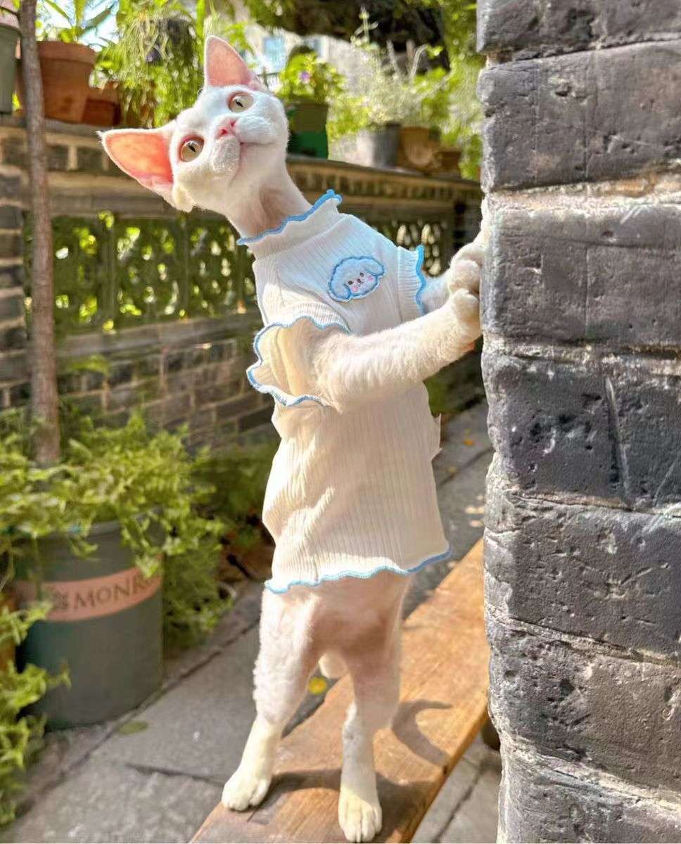 猫服  洋服 | もふもふ耳のシンプル猫用ロンパース