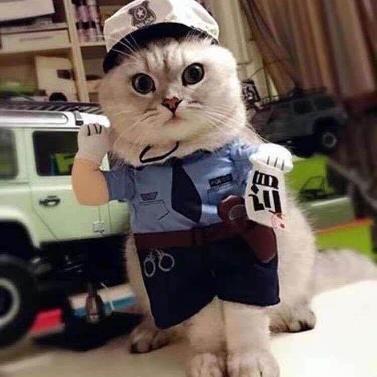猫服  コスプレ | ネコ用警察官制服コスプレセット