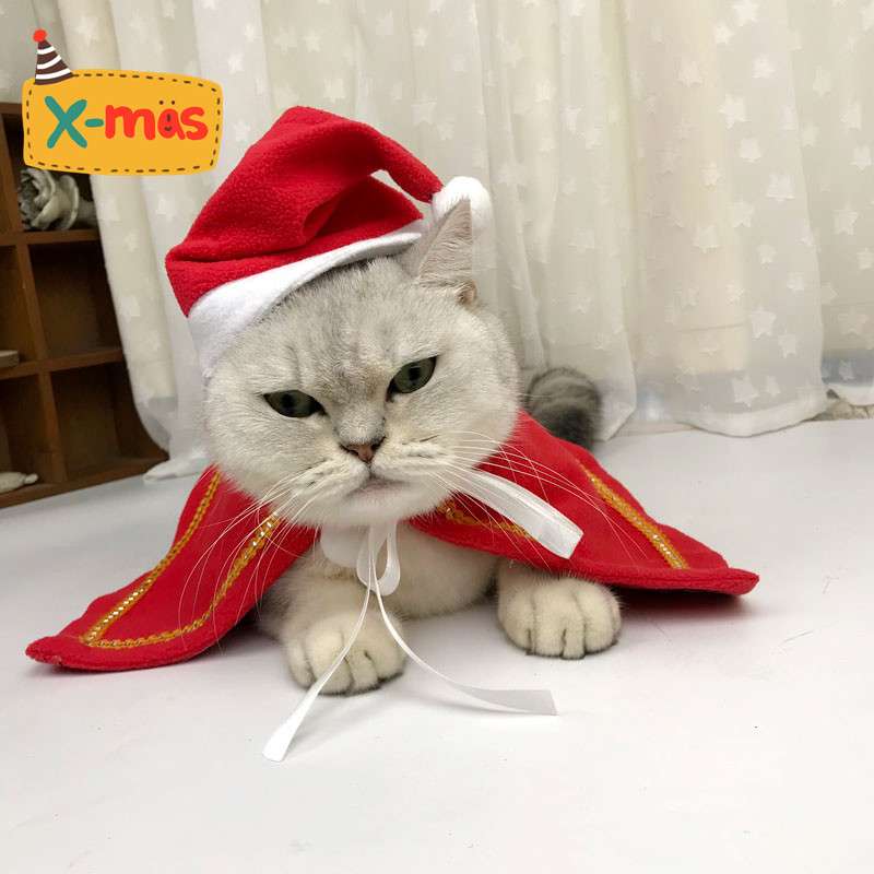 猫服  コスプレ | 魔法使い猫ちゃんコスプレセット