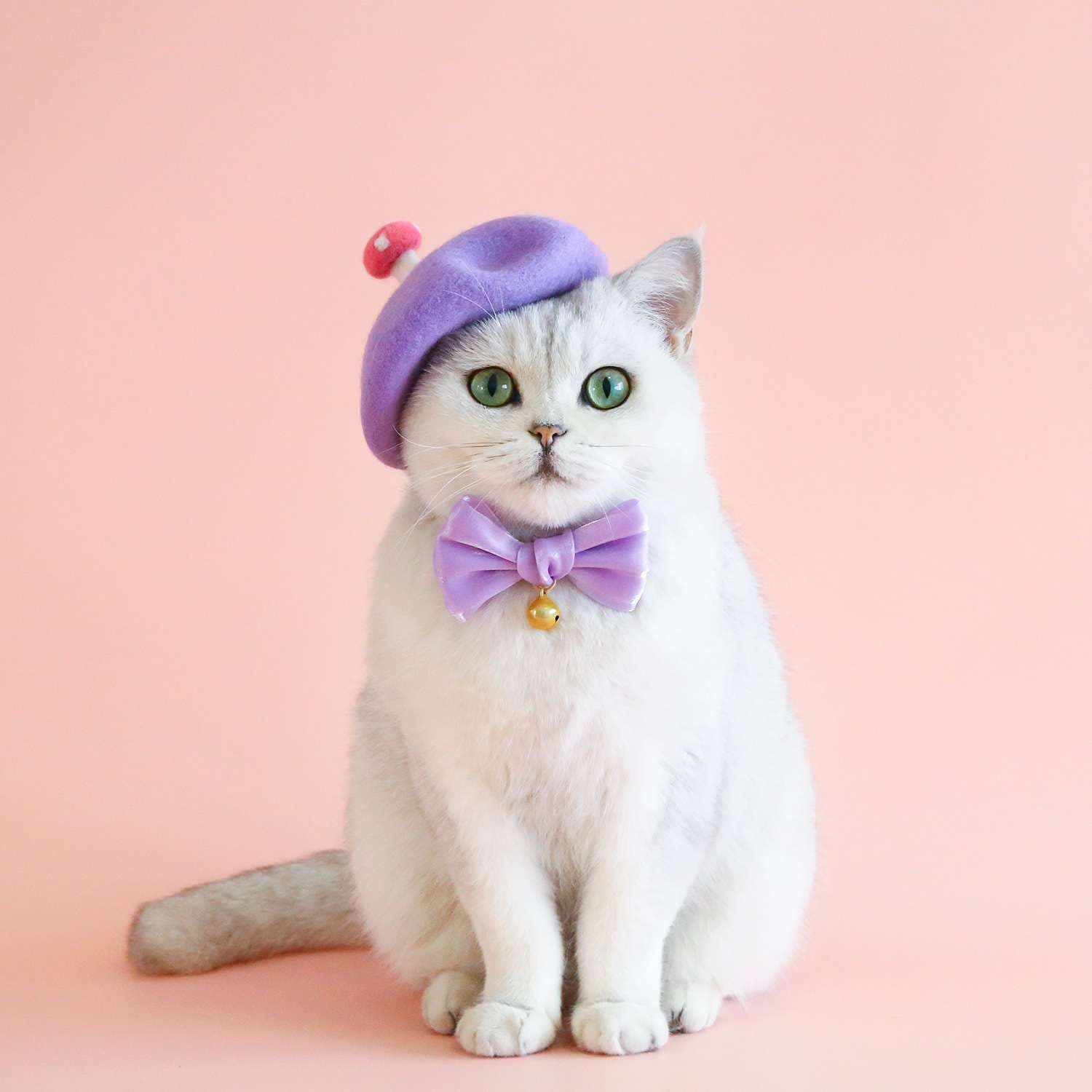 猫服  帽子 | お花のベレー帽