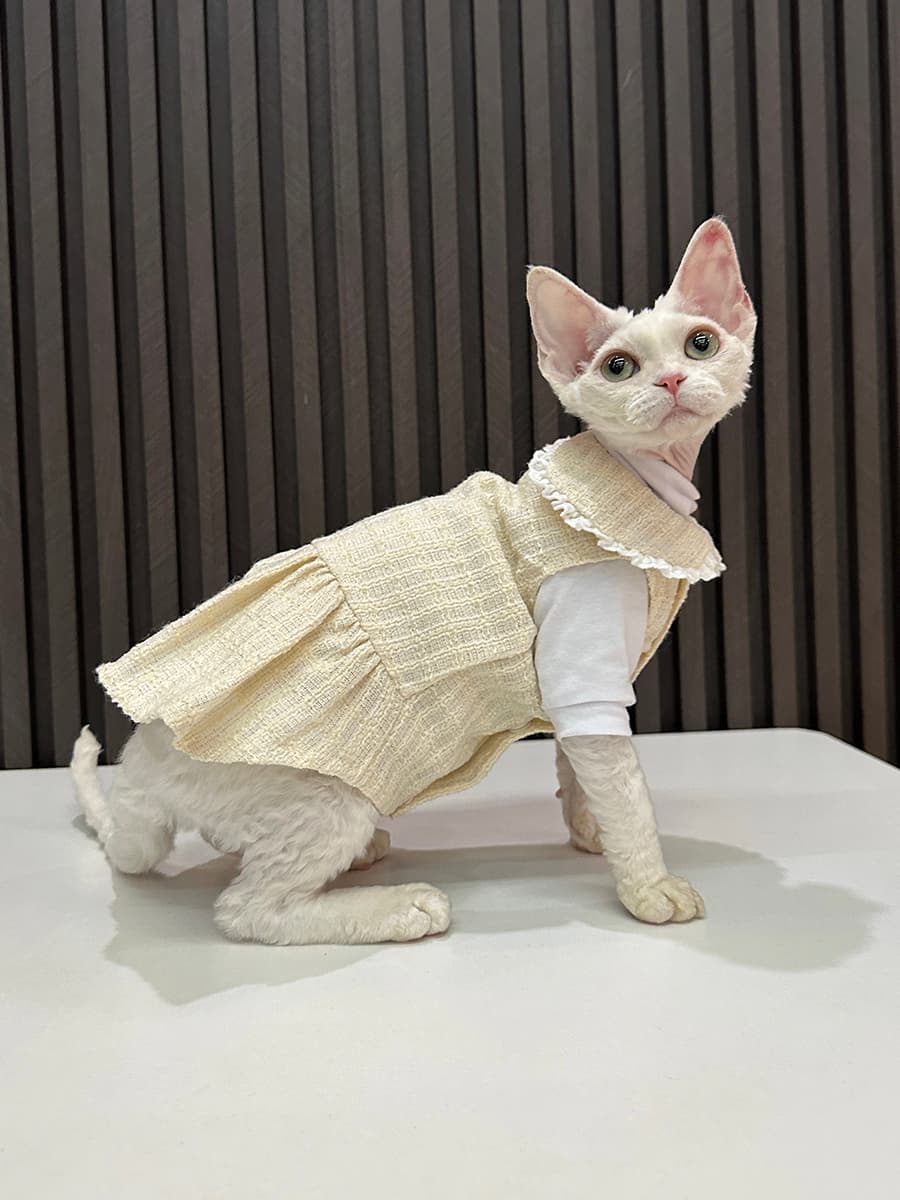 猫服  洋服 | うさぎの耳フリルワンピース