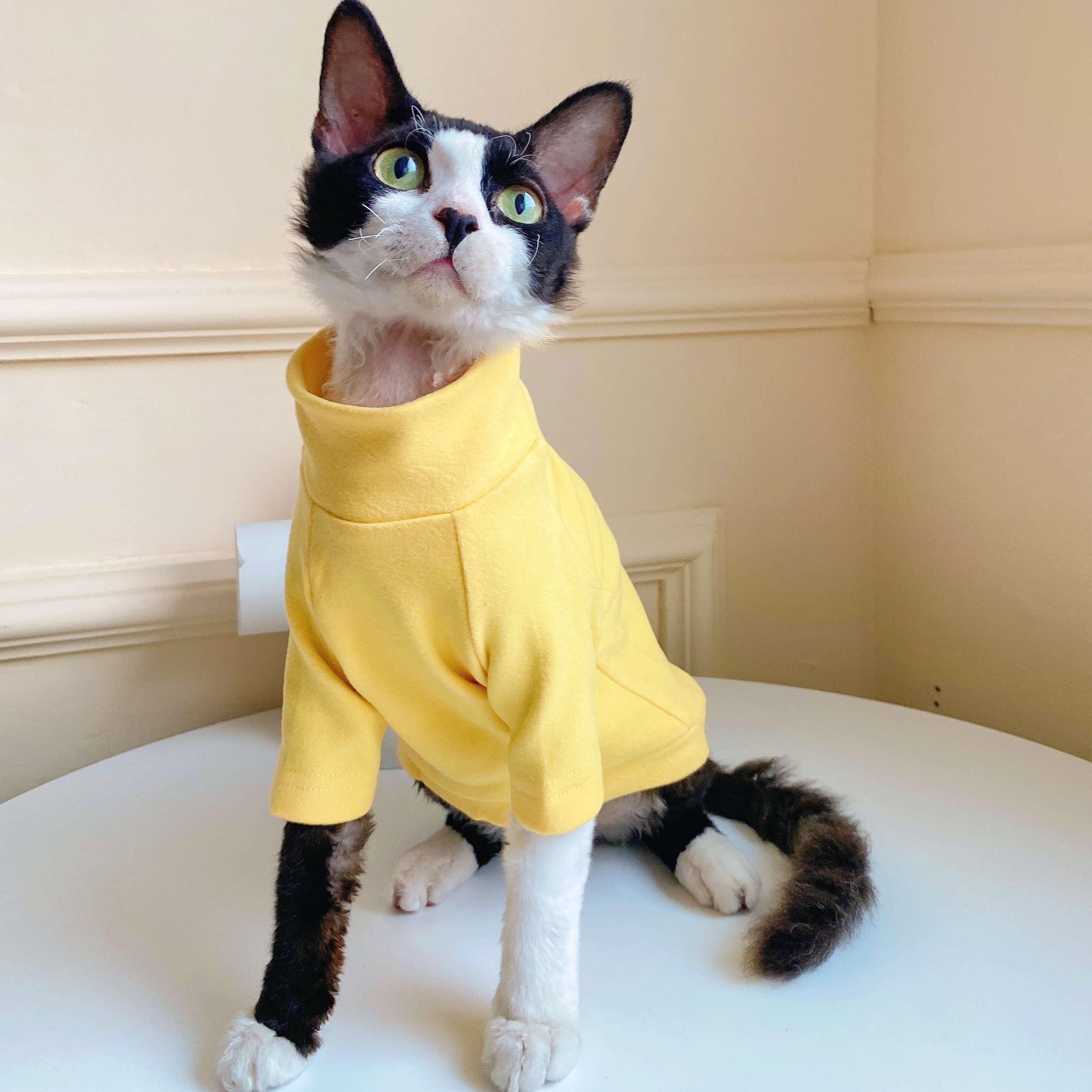 猫服  術後服 | にゃんこの優しい術後ウェア