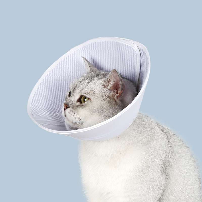 猫服 猫 エリザベスカラー | 猫専用のふわふわ快適エリザベスカラー