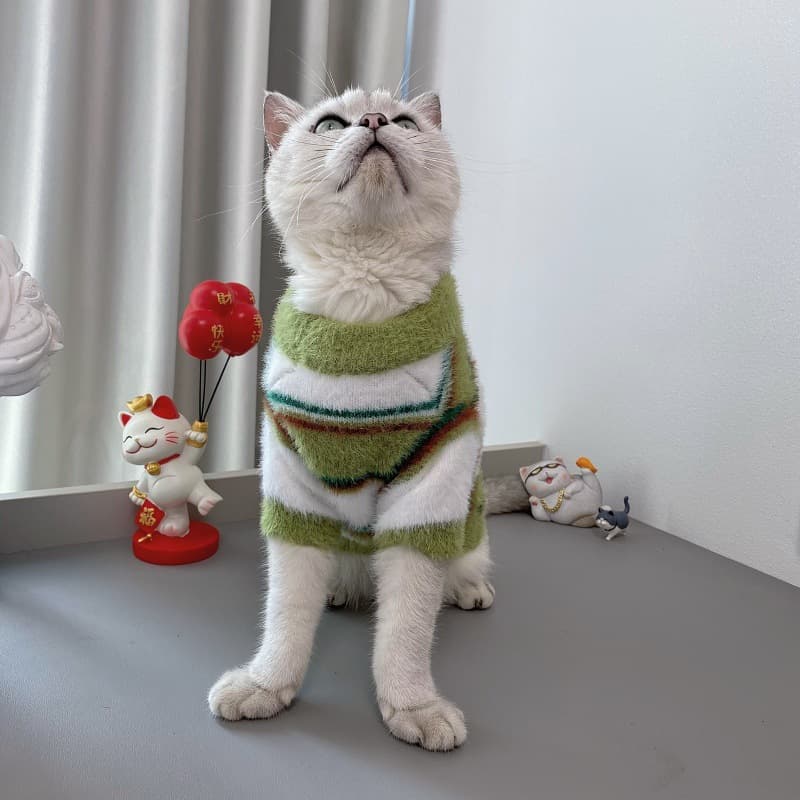 猫服 防寒服ふわふわもこもこ猫用セーター