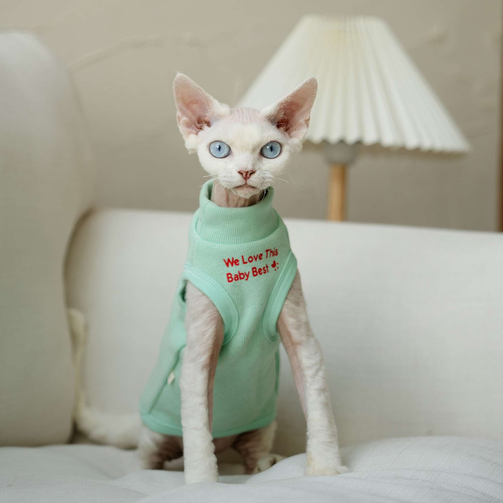 猫服  スフィンクス | スフィンクス用あったかベストウェア