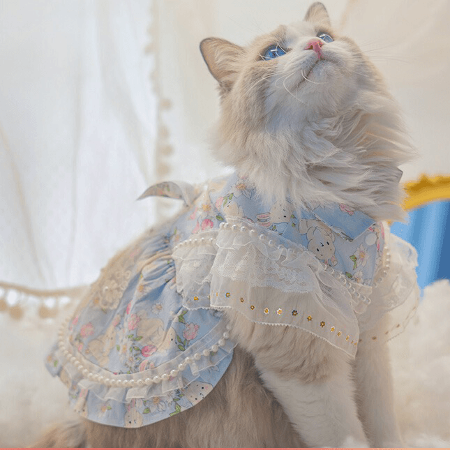 猫服  洋服 | ふわふわレースの猫用プリンセスドレス