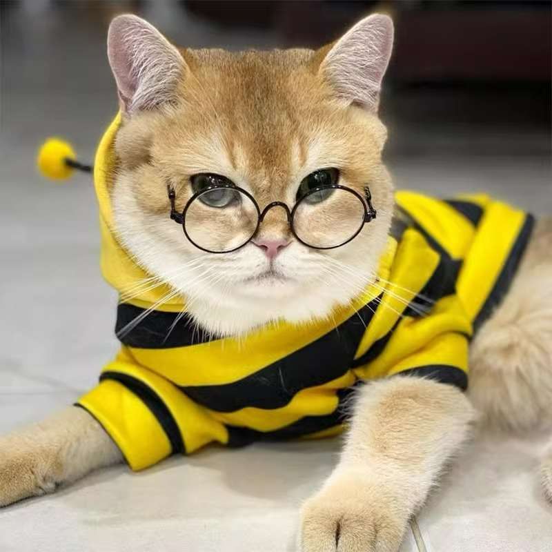猫服  コスプレ | ミツバチコスチューム猫用着ぐるみ