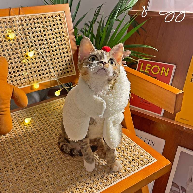 猫服  コスプレ | ペット用ホリデーコスチューム3点セット