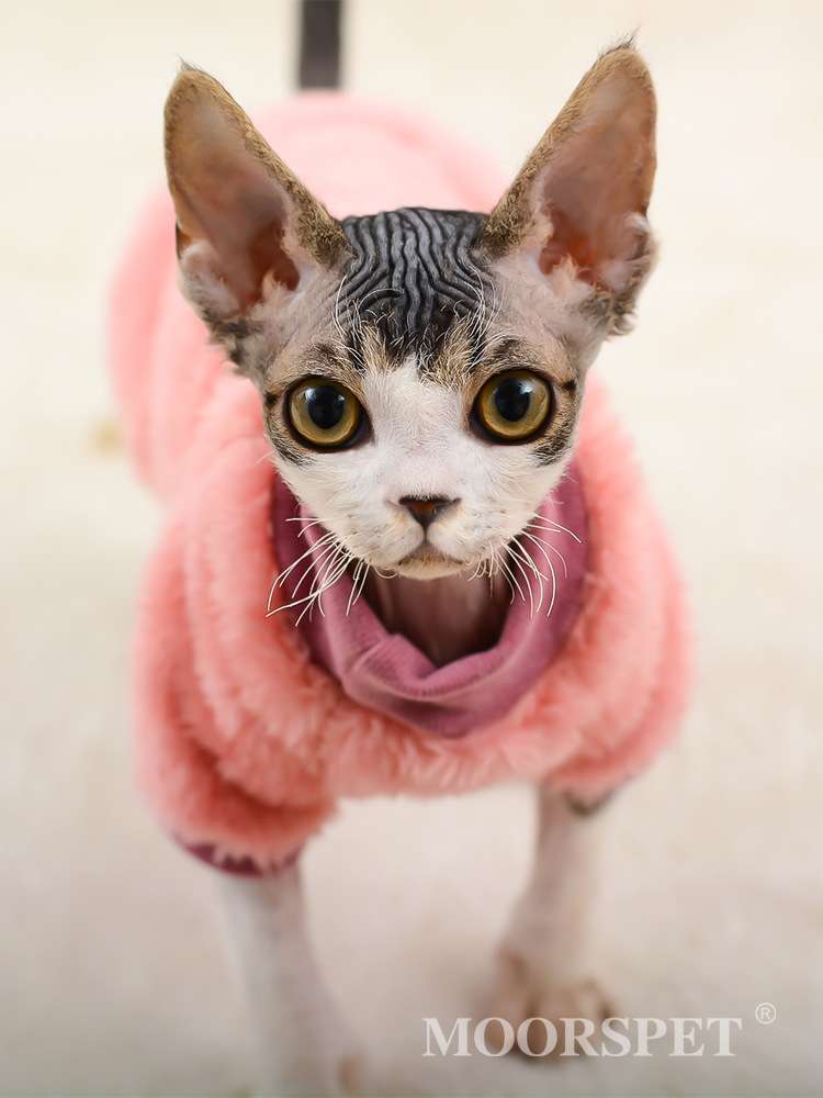 猫服  防寒服 | もこもこ猫ちゃんケープ