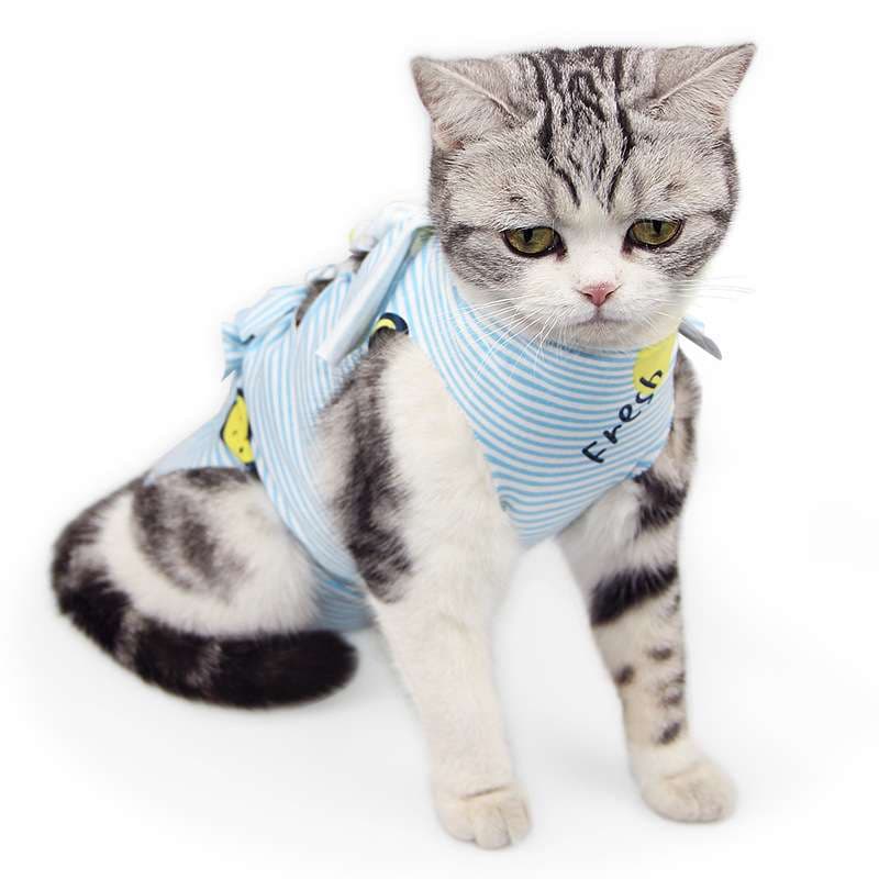 猫服  術後服 | 猫用快適リカバリーウェア