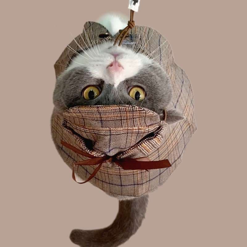 猫服  コスプレ | 猫用探偵風チェック柄ケープ帽子セット
