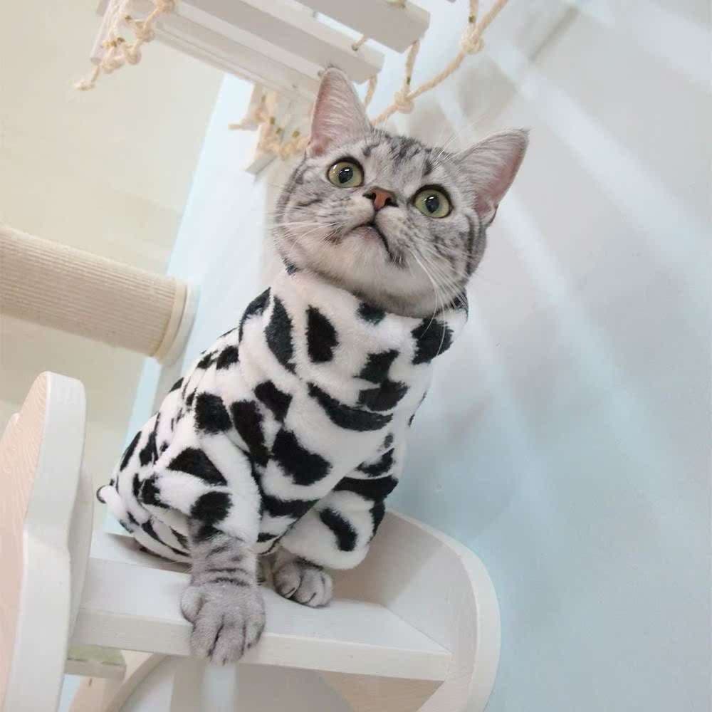 猫服  防寒服 | もこもこ猫用タートルネック防寒ウェア