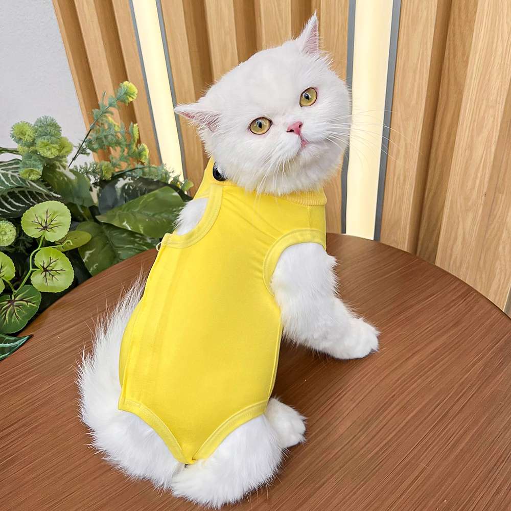 猫服  術後服 | 猫用カラフル術後服 快適ケアウェア