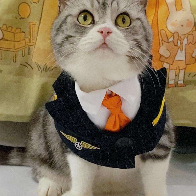 猫服  コスプレ | 猫用パイロット制服コスプレセット