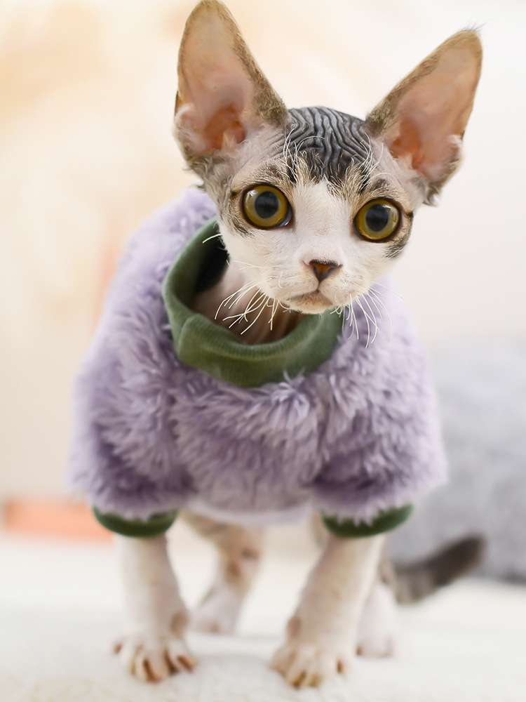 猫服  防寒服 | もこもこ猫ちゃんケープ