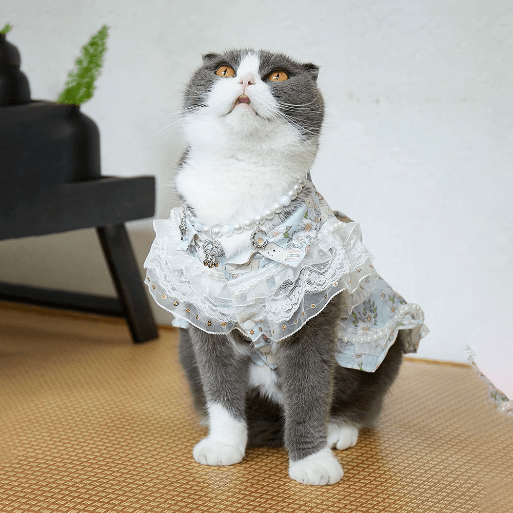 猫服  洋服 | ふわふわレースの猫用プリンセスドレス