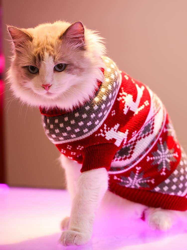 猫服  防寒服 | ニャンコのふわもこクリスマスセーター