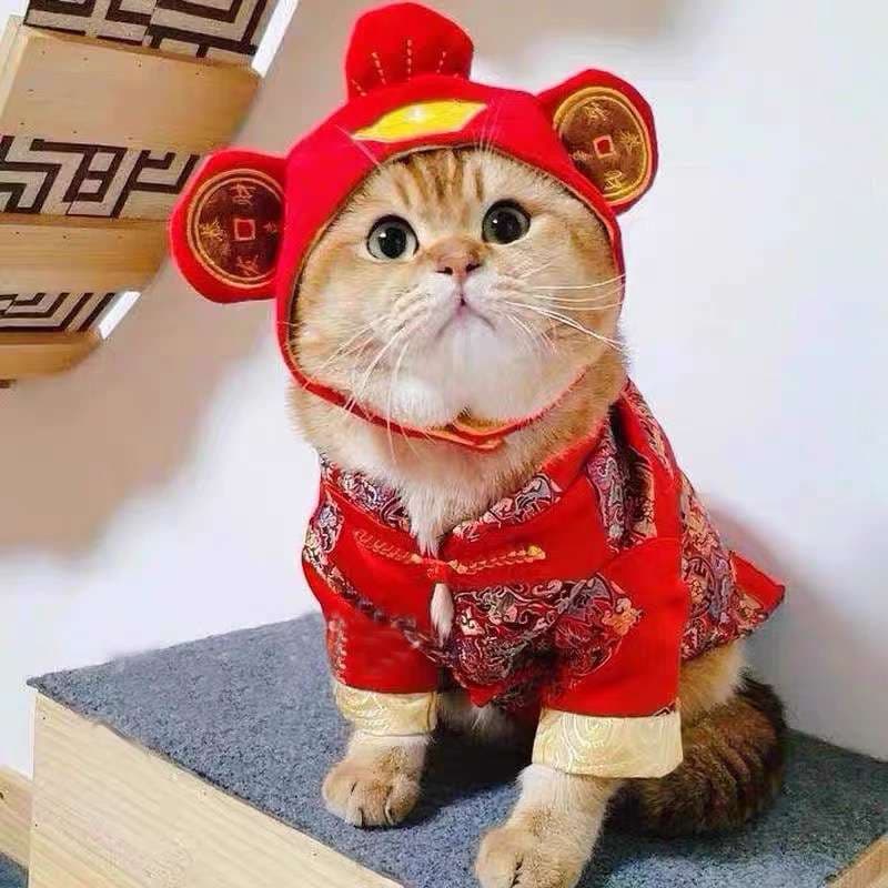 猫服  帽子 | 招福ネコちゃん耳付き赤い帽子