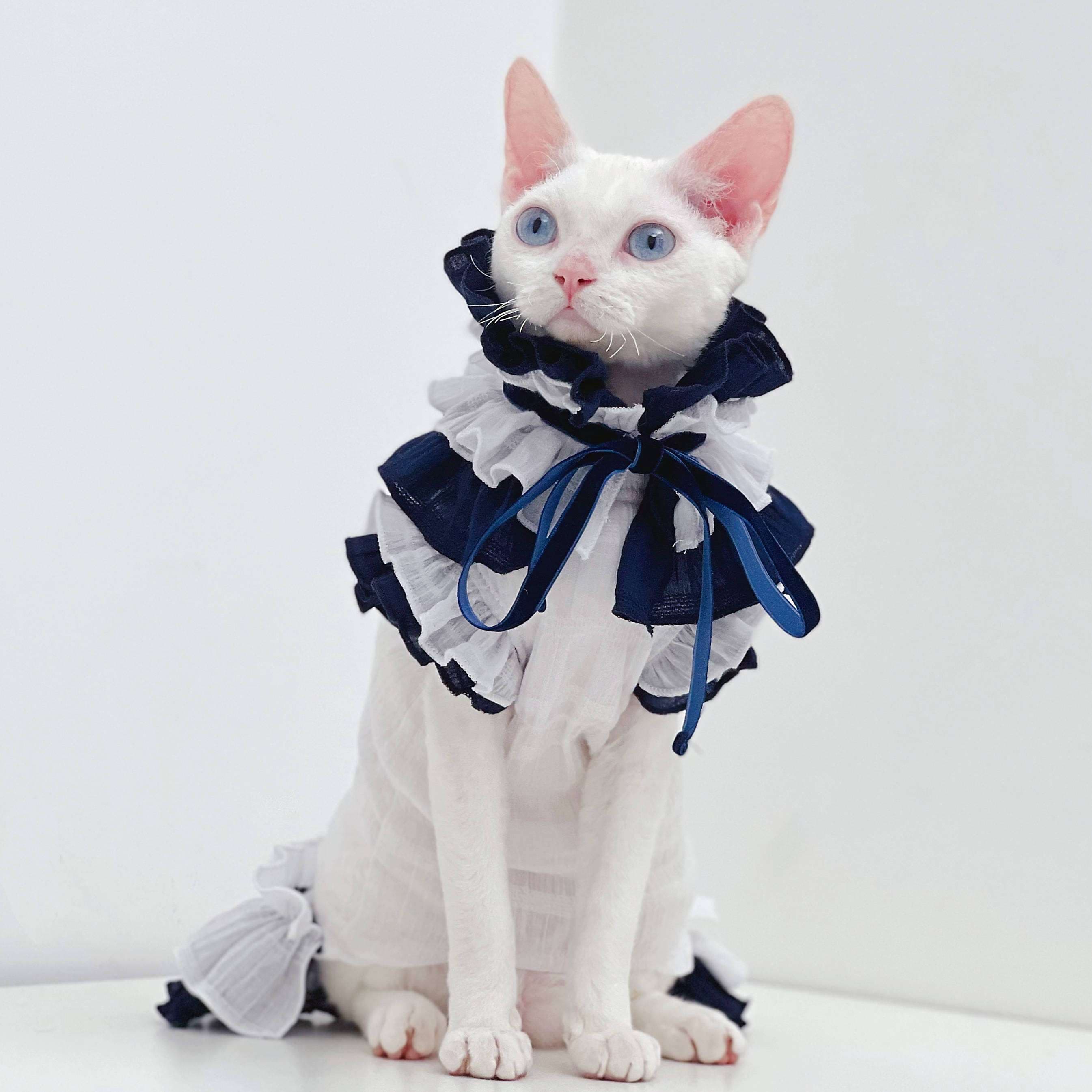 猫服 猫 エリザベスカラー | ふりふりメイド風エリザベスカラー