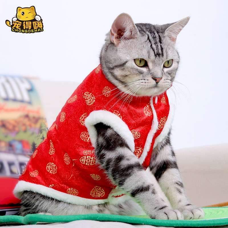猫服  防寒服 | 福々招き猫のお正月マント