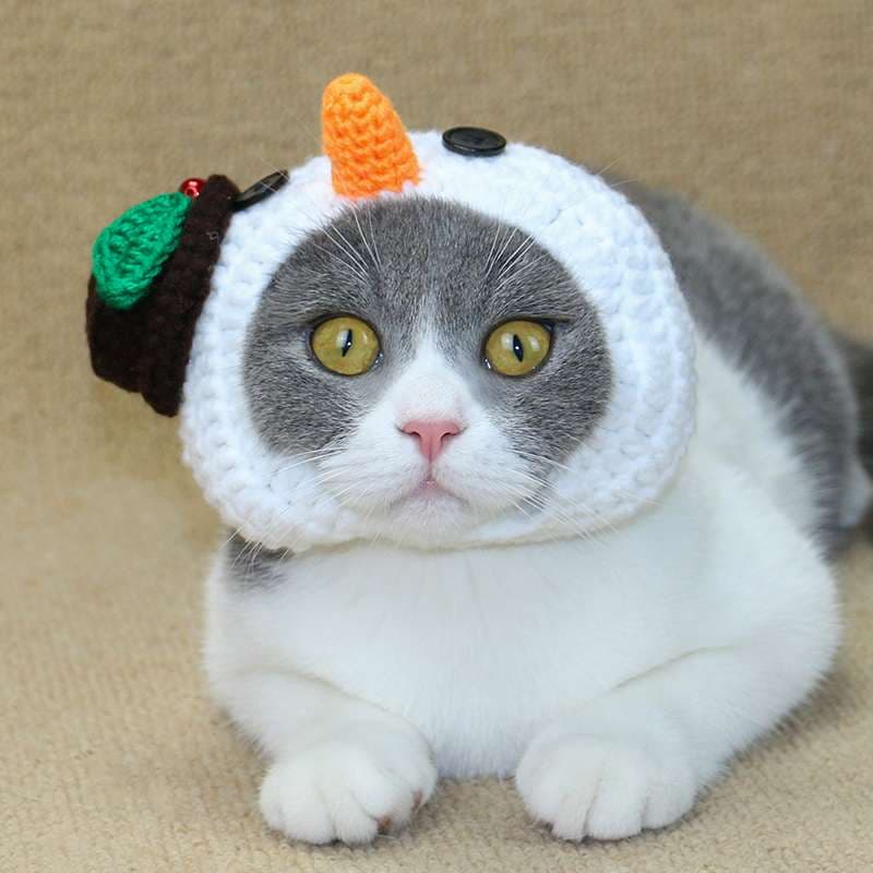 猫服  帽子 | 雪だるま風ニット帽