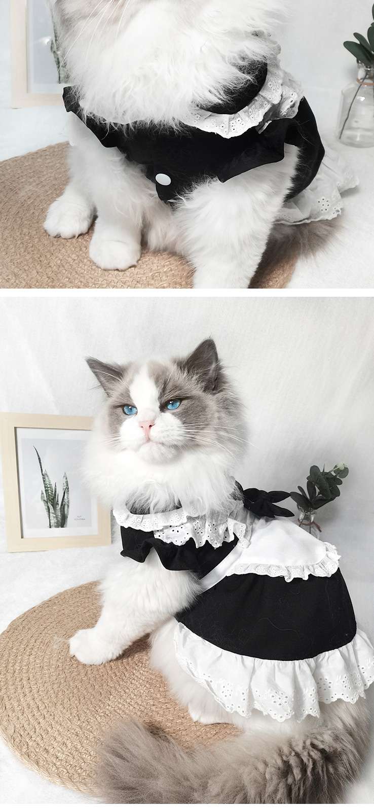 猫服  コスプレ | ふわもこ猫ちゃんメイド服