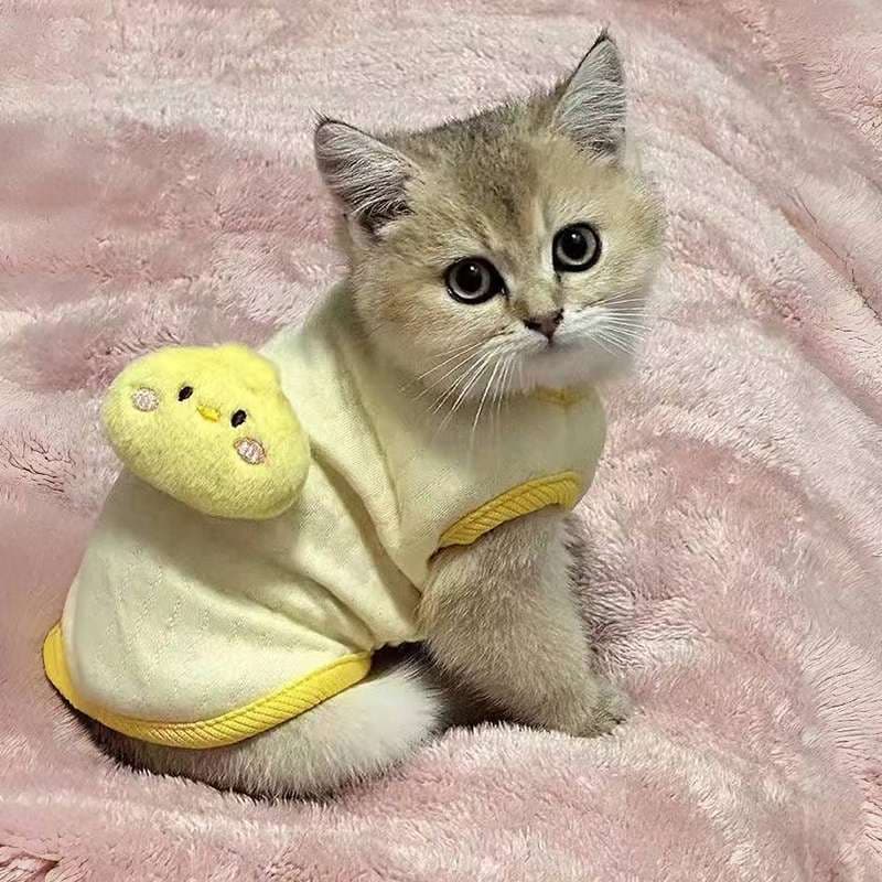 猫服  洋服 | ひよこパーカー猫ちゃん用