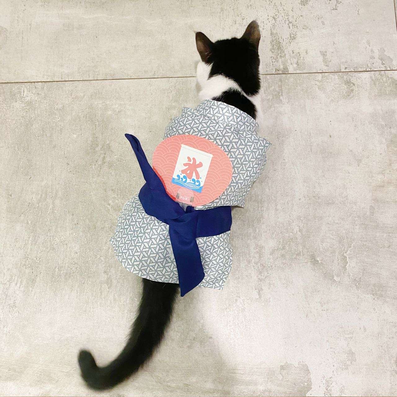 猫服  コスプレ | 和風猫用浴衣