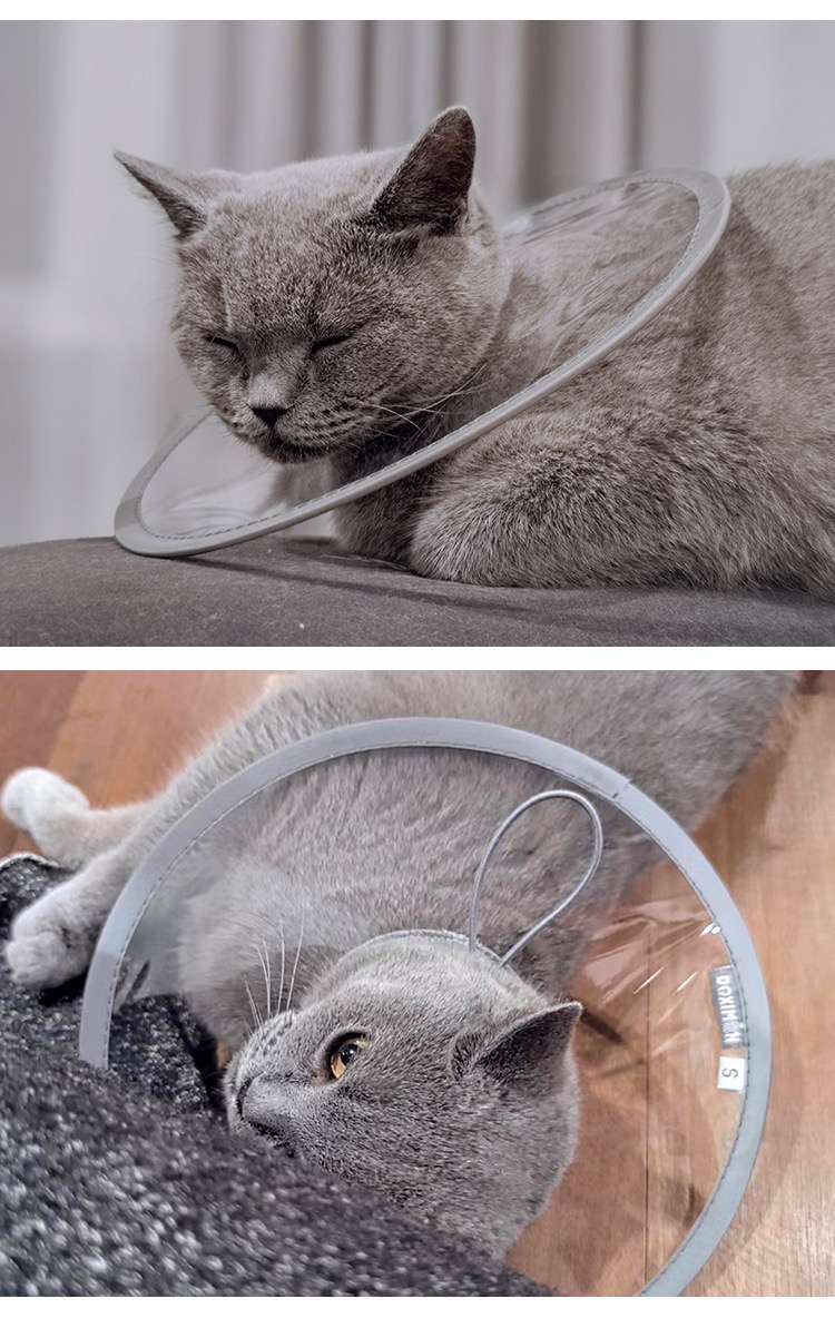猫服 猫 エリザベスカラー | ペット用コンフォートエリザベスカラー